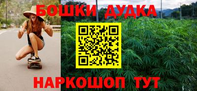 стаф Шебекино