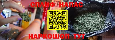 стаф Шебекино